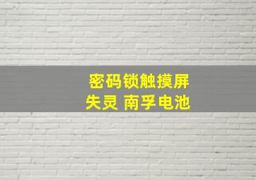 密码锁触摸屏失灵 南孚电池